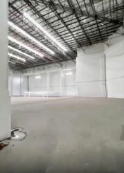 Pandan Avenue (D22), Factory #570937581